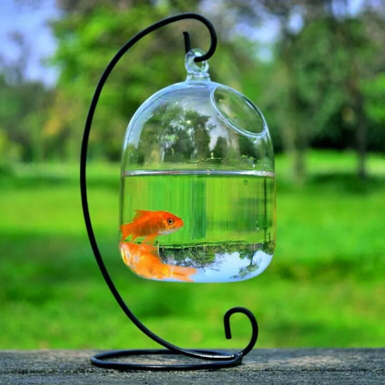 6555df17c3ee4f6b71301a08-spring-park-hanging-fish-tank-bowl-with